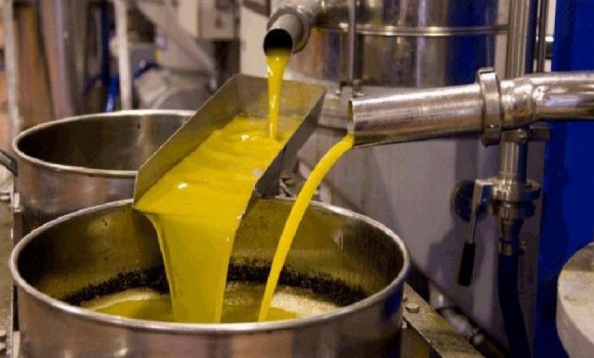 Tébessa: production prévisionnelle de plus de 1,8 million de litres d'huile d'olive