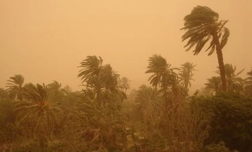 Des vents forts souffleront vendredi sur plusieurs wilayas du sud du pays